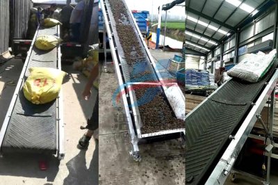 成件包裝貨物裝車用什么輸送帶